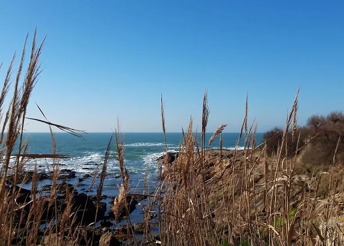 Appartamento Appt Face à La