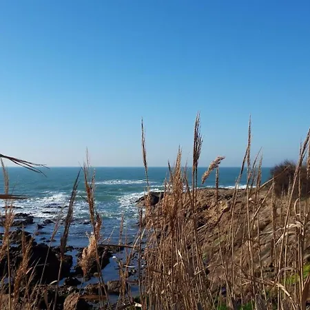 公寓 Appt Face A La