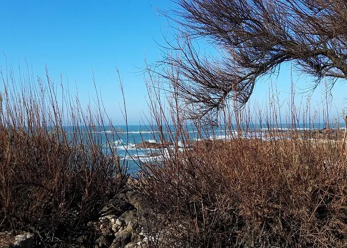 公寓 Appt Face A La 莱萨布勒-多洛讷